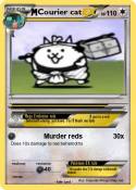 Courier cat