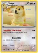 Doge