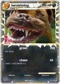 herobrindog