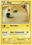 Doge