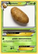 potato