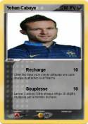 Yohan Cabaye