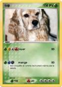 tidji