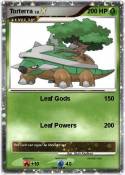 Torterra