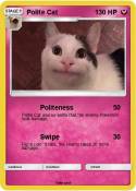 Polite Cat