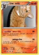 Chat tordu