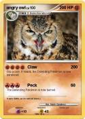 angry owl