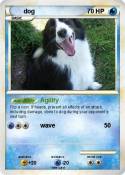 dog