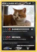what u lookin