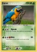 Parrot
