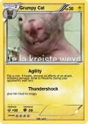 Grumpy Cat
