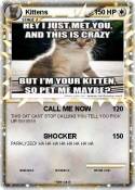 Kittens