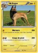 Mr.Rogue