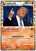 trump wall