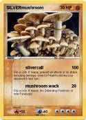 SILVERmushroom