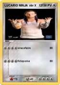 LUCARIO NINJA