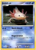 Axolotl