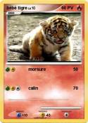 bébé tigre