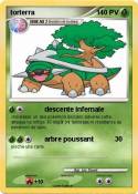 torterra