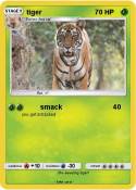 tiger