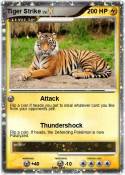 Tiger Strike
