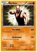 Big Show