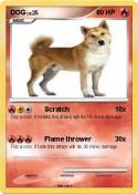 DOG