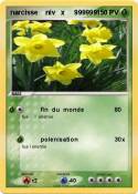 narcisse niv x
