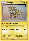 Electigre