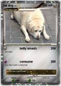 fat dog