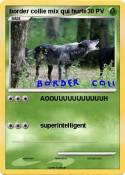 border collie