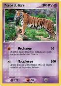 Force du tigre