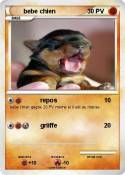 bebe chien