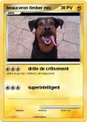 beauceron timbe
