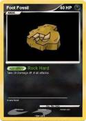 Foot Fossil