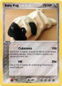 Baby Pug