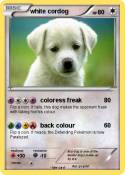 white cordog