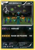 HEROBRINE EX