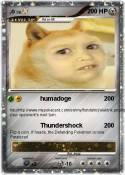 ,o