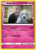 Rose GX