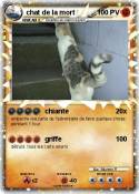chat de la mort