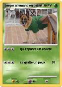 berger allemand
