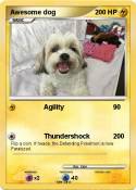 Awesome dog