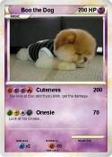 Boo the Dog