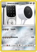 Amazon key