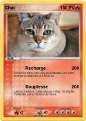 Chat