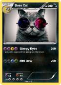 Boss Cat