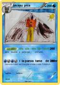 picayu pica