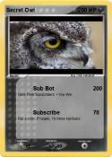 Secret Owl