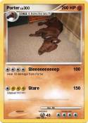 Porter